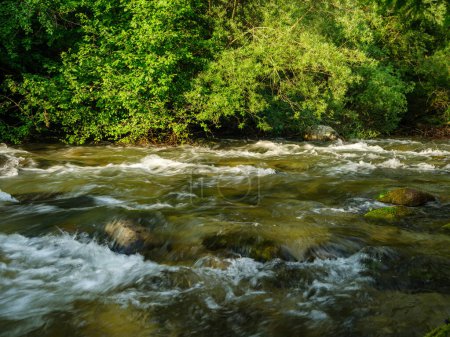 río salvaje rápido con montañas en el fondo en el tiempo de verano