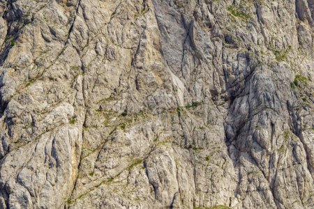 grande falaise rocheuse blanche dans la région montagneuse de Slovaquie tatra