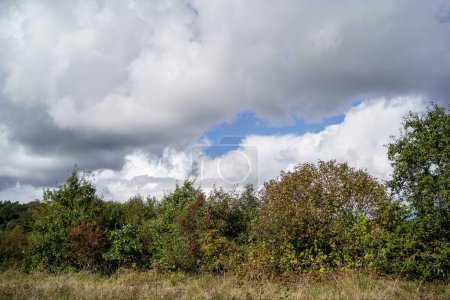Téléchargez les photos : Nuages orageux blancs en été avec fond bleu ciel texture contrastée - en image libre de droit