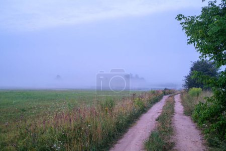 Foto de La niebla de la mañana a orillas del río es la hora verde del verano - Imagen libre de derechos