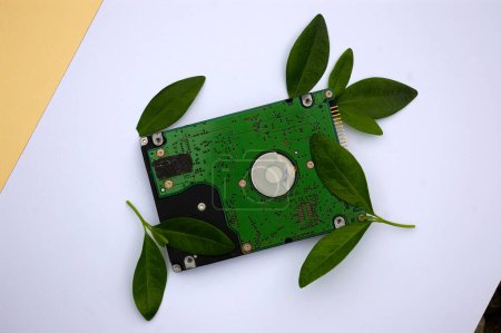 Foto de Green Technology IT Concept. Equipo de computadora personal de disco duro rodeado de hojas perennes sobre fondo blanco. - Imagen libre de derechos