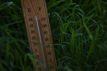 Foto de Termómetro de madera en hierba verde. El concepto de previsión meteorológica. Termómetro exterior e interior con graduaciones Fahrenheit y Celsius. - Imagen libre de derechos