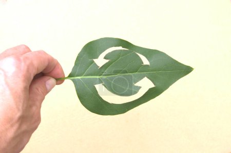 Circular economy symbol carved on a green leaf held in a hand. Two chasing arrows on a green leaf as symbol for sustainable economy, agriculture and food. 