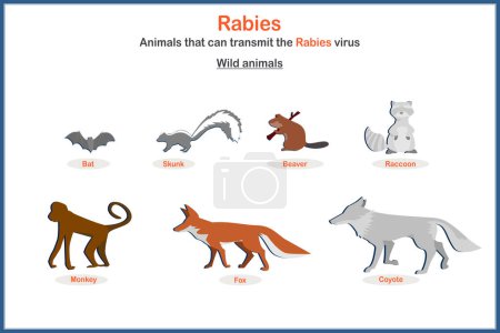 Ilustración de vectores médicos en estilo plano. El concepto de vectores de rabia de animales salvajes como murciélagos, zorrillos, castores, mapaches, monos, lobos, zorros, coyotes.