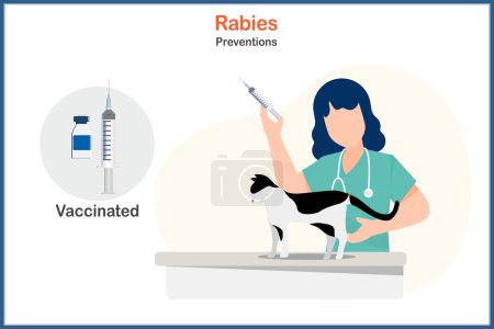 Medical vector illustration in flat style. Rabies prevention concept. Female veterinarian is using a syringe to administer rabies vaccination to a cat.