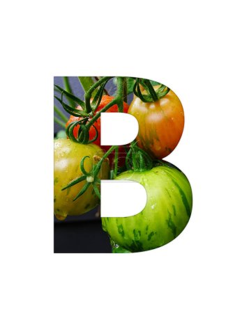 Téléchargez les photos : Lettre b de l'alphabet composée d'un bouquet de tomates jaunes non mûres et rouges mûres, isolées sur fond blanc - en image libre de droit