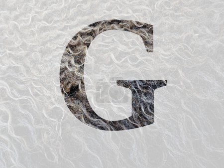 Photo for Letter G of the alphabet made with curly hear of the wool of a sheep, with colors brown, white and beige - Royalty Free Image