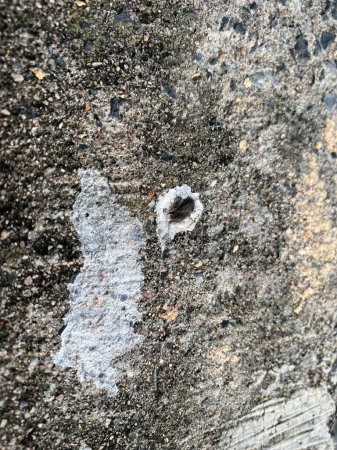 Foto de Excrementos de aves en el suelo de cemento - Imagen libre de derechos