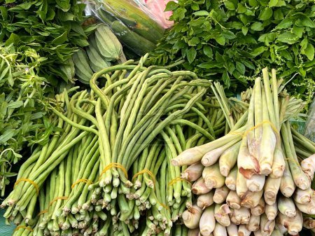 Close up fresh vegetables in market