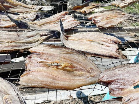 Téléchargez les photos : Dry snake head fish for cooking - en image libre de droit