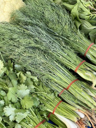 green dill on the market