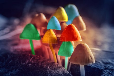 Foto de Hallucinogenic colorful mushrooms grow in the forest, toned. - Imagen libre de derechos