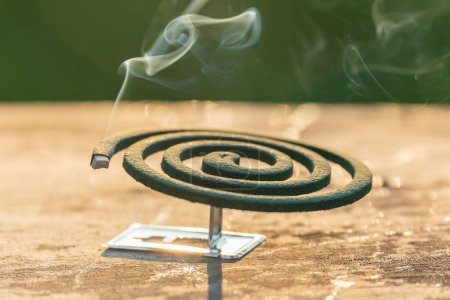 Smouldering repellent spiral from mosquitoes, protection against insects.