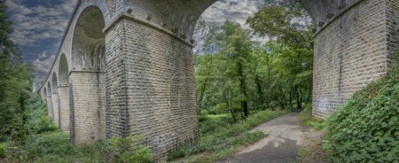 Téléchargez les photos : Vue d'un pont ferroviaire depuis le fond de la forêt - en image libre de droit
