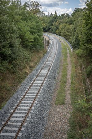 Téléchargez les photos : Vue d'une voie ferrée à travers la forêt - en image libre de droit