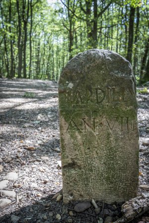 Vista de un marcador de piedra medieval en el bosque