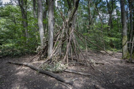View of a wooden teepee in the forest Bois de Serre, Edge of the woods