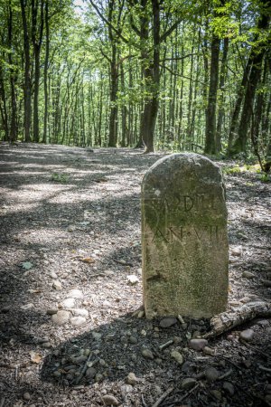 Téléchargez les photos : Vue d'un marqueur médiéval en pierre dans la forêt - en image libre de droit