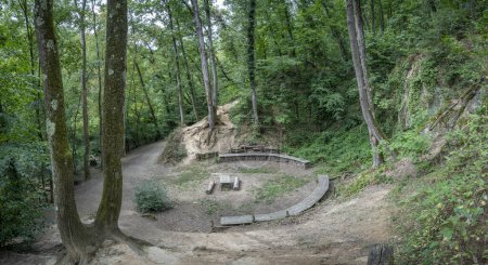 Blick auf ein grünes Amphitheater im Wald