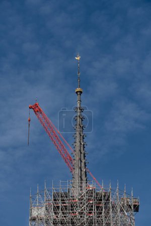 Paris, France - 02 15 2024: Notre Dame de Paris. Vue de la flèche surmontée du coq doré de la cathédrale Notre-Dame émergeant de l'immense échafaudage de tubes métalliques