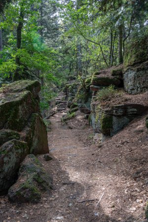 Der Weg der Gallier. Blick auf Felsen und Bäume