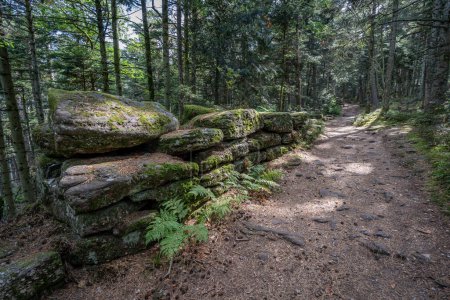 Camino de los galos. Vista de paredes de rocas, escaleras y árboles