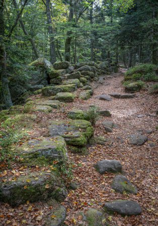 Camino de los galos. Vista de paredes de rocas, escaleras y árboles