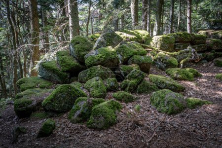 Der Weg der Gallier. Blick auf Felsen und Bäume auf dem Weg