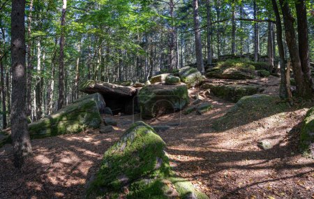 Chemin des Gaulois. Vue de la grotte des druides dans la forêt