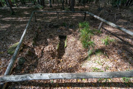 Path of the Gauls. View of a Merovingian tomb on the ground in the forest