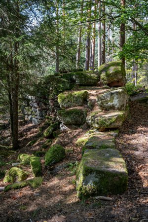 Camino de los galos. Vista de la pared de piedra pagana, escaleras y árboles