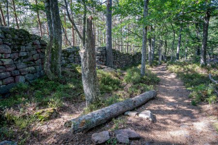 Der Weg der Gallier. Blick auf die heidnische Steinmauer, Treppen und Bäume