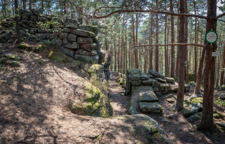 Path of the Gauls. View of the Koeberle door in the forest