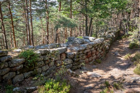 Mont Sainte Odile, Francia - 09 11 2020: El camino de los galos. Vista de la pared de piedra pagana, escaleras y árboles 