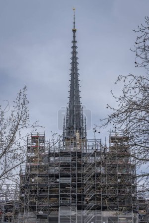 Paris, France - 03 08 2024: Notre Dame de Paris. View of the spire topped with the golden rooster of Notre-Dame cathedral emerging from the immense scaffolding of metal tubes