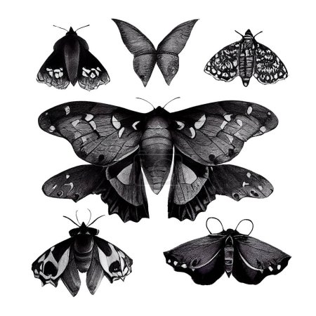 Set with stickers, black watercolor moon Moths and butterflies, gloomy style, isolated on white. High quality illustration