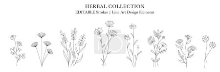 Herbal Collection. Línea de arte editable diseño monocromo. Conjunto de diseños florales lineales, flores medicinales y plantas. Ilustración vectorial