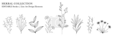 Herbal Collection. Línea de arte editable diseño monocromo. Conjunto de diseños florales lineales, flores medicinales y plantas. Ilustración vectorial
