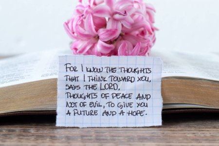 Inspiring handwritten quote about God's future plan, hope, and peace for Christians with open holy bible book and pink flower. Close-up. Studying biblical prophecy concept.