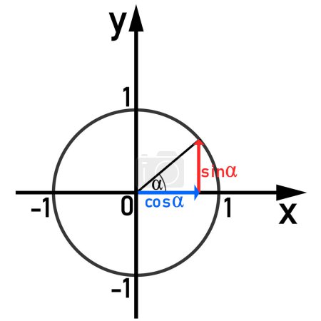 Ilustración de Representación gráfica de las funciones seno y coseno en el círculo unitario - Imagen libre de derechos