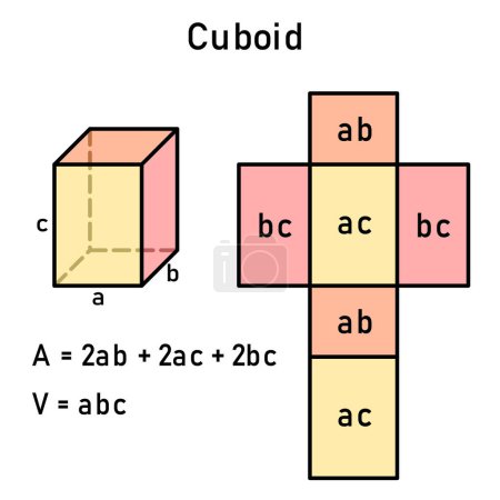 Illustration for Graphical derivation of the area and volume of a cuboid using its mesh - color-coded - Royalty Free Image