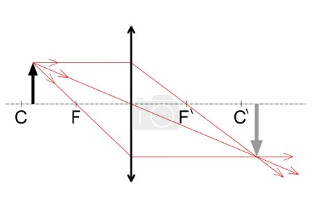 Grafische Konstruktion des Bildes eines Objekts, das sich zwischen dem Brennpunkt und dem Zentrum der optischen Oberfläche des Kopplers befindet