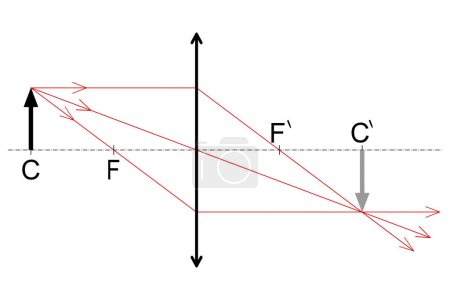 Grafische Konstruktion des Bildes eines Objekts in der Mitte der optischen Oberfläche einer Konjunktionslinse