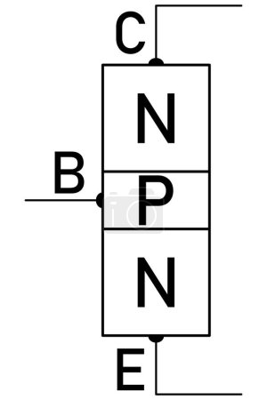 Transistordiagramm - zwei PN-Anschlüsse, Basis, Kollektor und Emitter