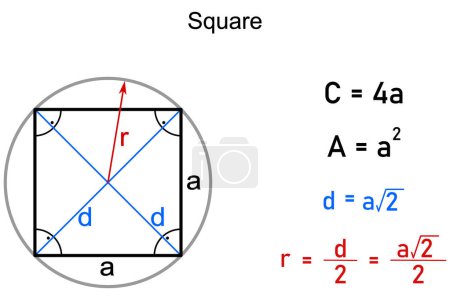 Graphical representation of a square and formulas for calculating its circumference, area, diagonal and radius