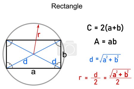 Ilustración de Representación gráfica de un rectángulo y fórmulas para calcular su circunferencia, área, diagonal y radio - Imagen libre de derechos
