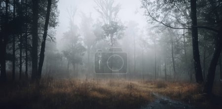 Foto de Camino en el bosque en un día lluvioso Misterioso bosque húmedo campo remoto - Imagen libre de derechos