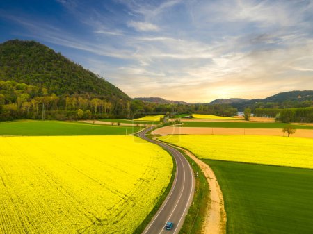 Téléchargez les photos : Route à travers les champs de colza de printemps à fleurs jaunes vue panoramique, ciel bleu avec nuages au coucher du soleil. - en image libre de droit