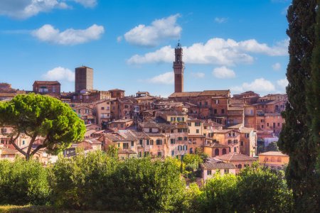 Schöne Ansicht des Glockenturms der Kathedrale von Siena, des Doms von Siena und der Altstadt der mittelalterlichen Stadt Siena am sonnigen Tag, Toskana, Provinz Siena, Italien. 