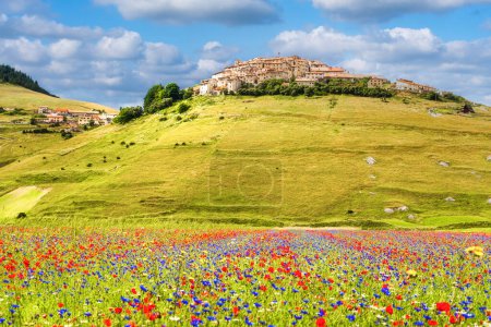 Téléchargez les photos : Vue en angle élevé de Castelluccio di Norcia pendant les champs de fleurs colorées, Castelluccio, province de Pérouse, Ombrie, Italie - en image libre de droit